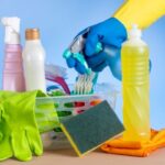 biodegradable cleaning products for homes