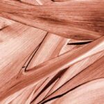 layered texture interior design